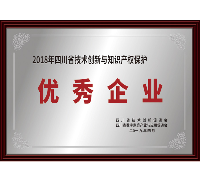 2018年四川省技術(shù)創(chuàng)新與知識產(chǎn)權(quán)保護(hù)“優(yōu)秀企...